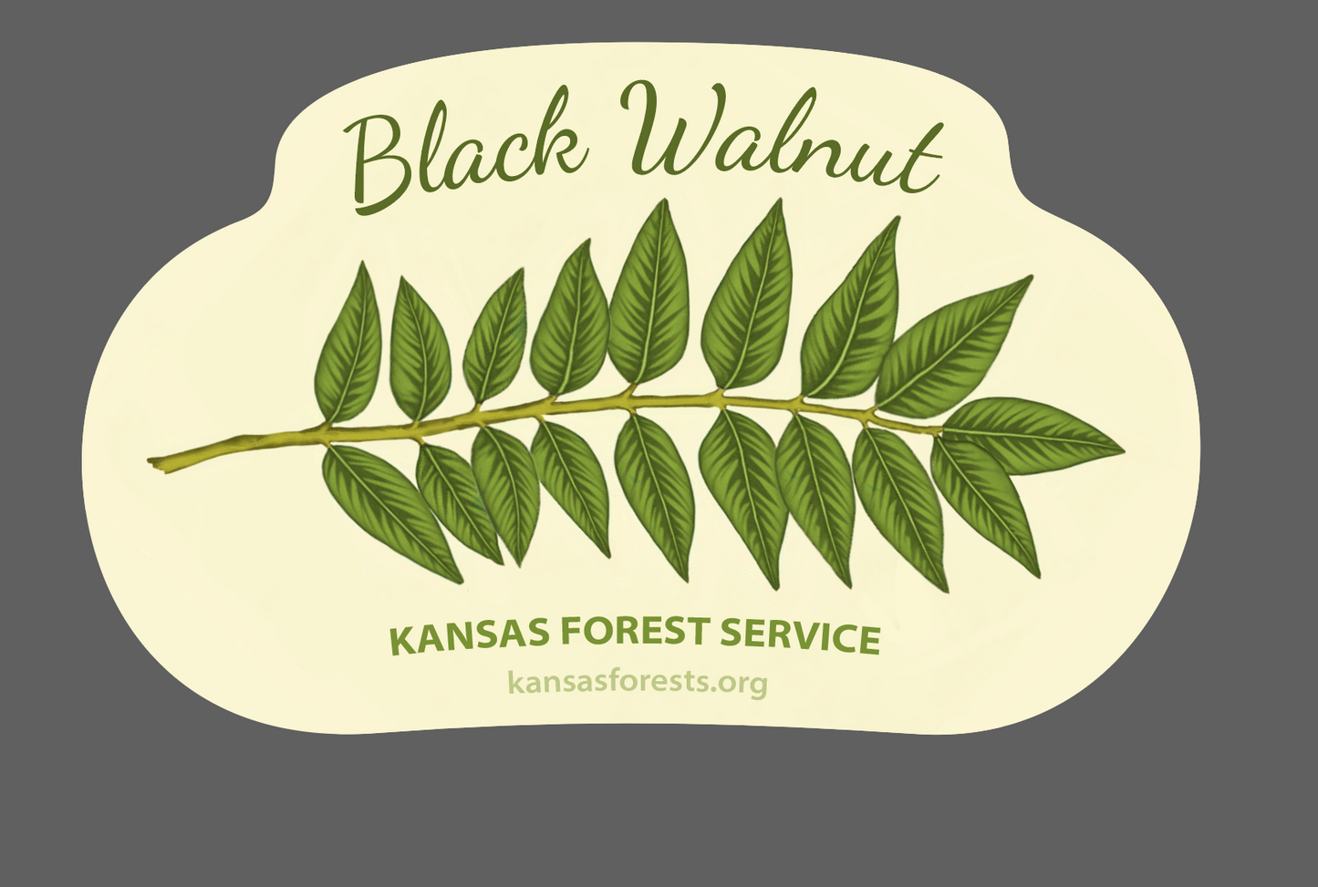 KFS Native Tree Stickers