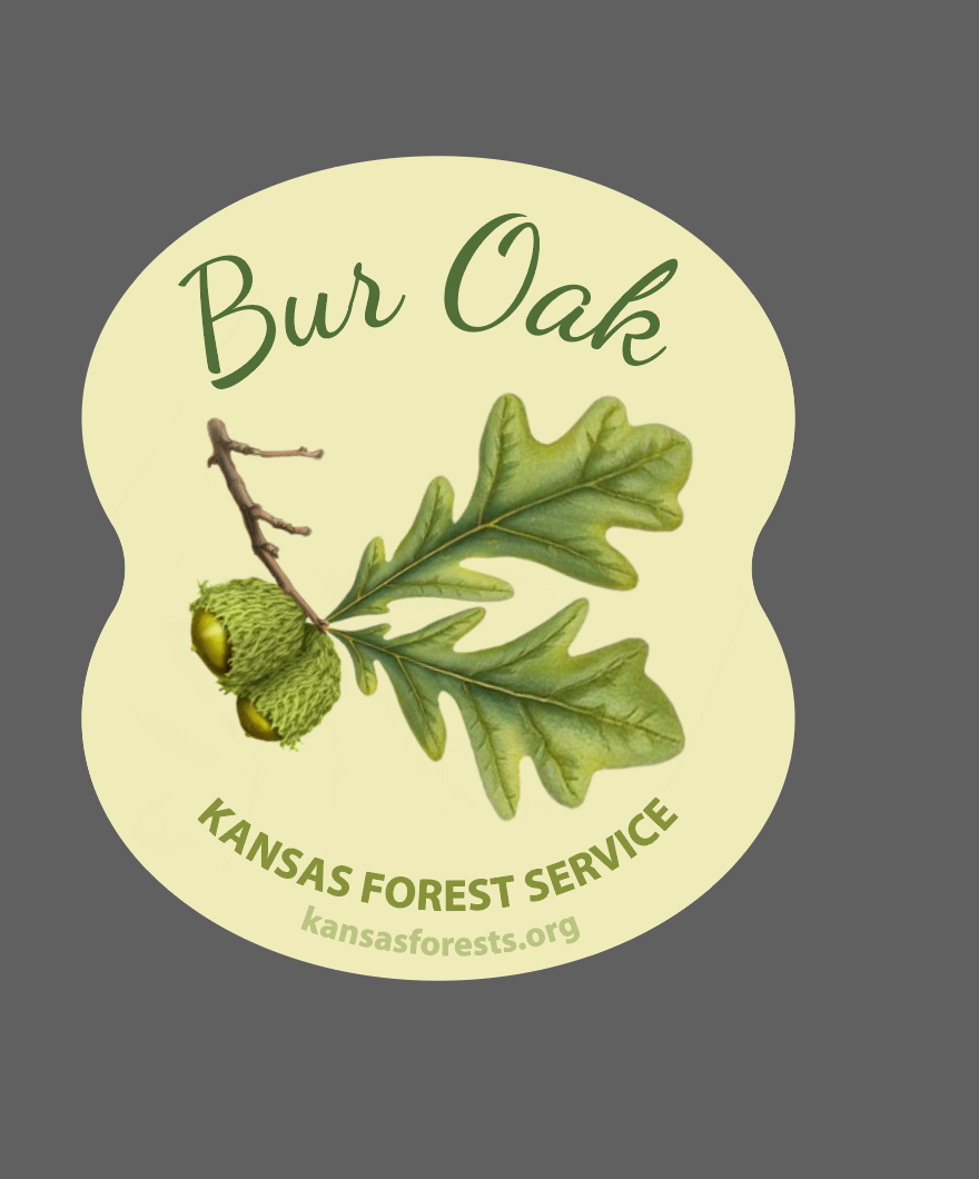 KFS Native Tree Stickers