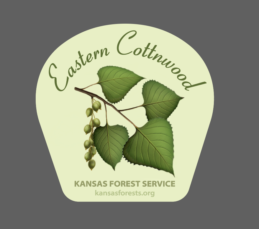 KFS Native Tree Stickers