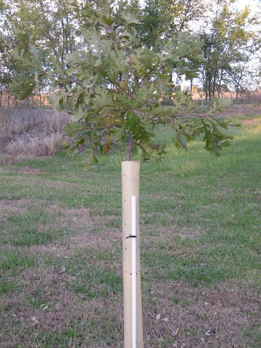 5' Tree Tubes (Stakes sold separately)