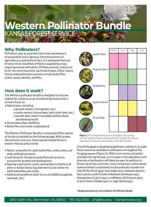 Western Pollinator Bundle – Kansas Forest Service